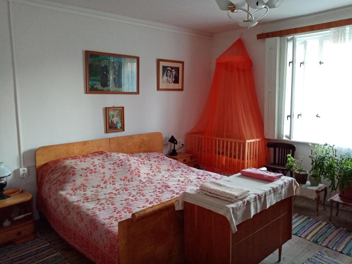 Vinyl House Guest House Strekov Exterior foto